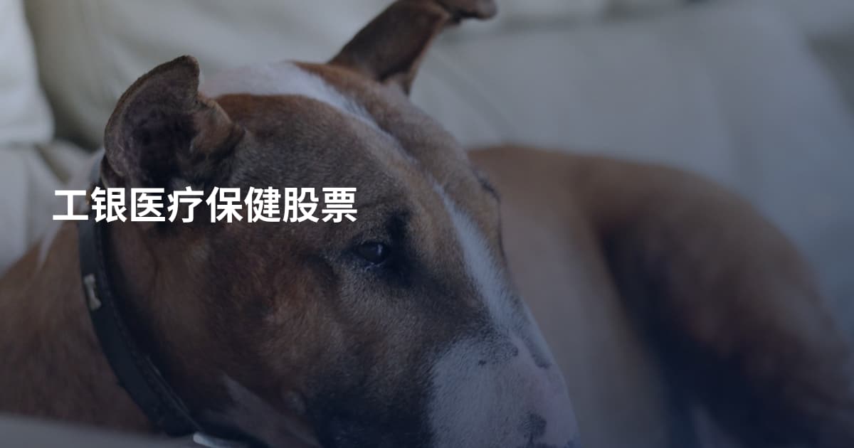 工银医疗保健股票