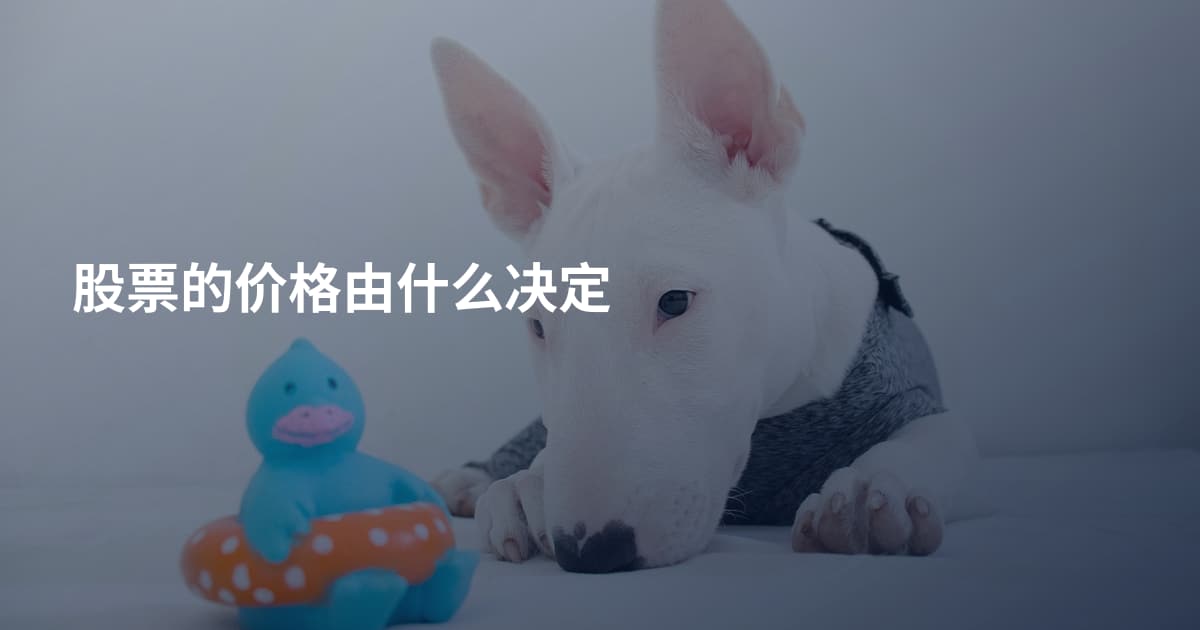 股票的价格由什么决定