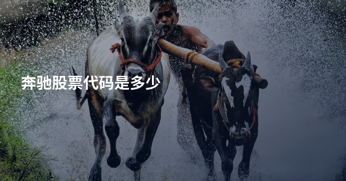 奔驰股票代码是多少