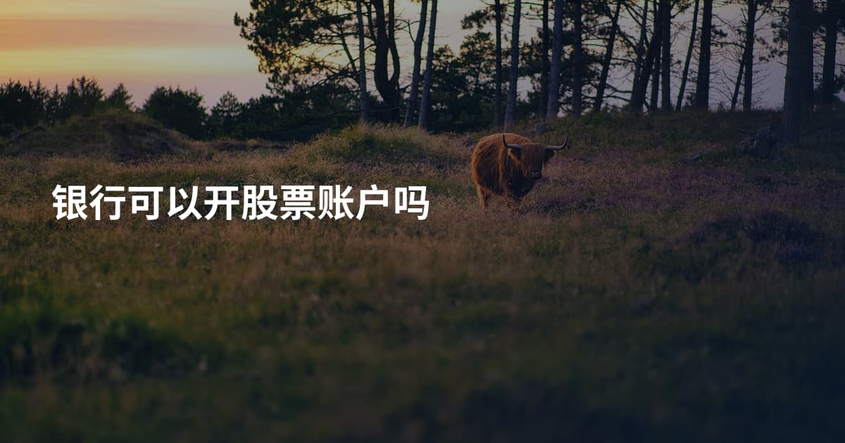银行可以开股票账户吗