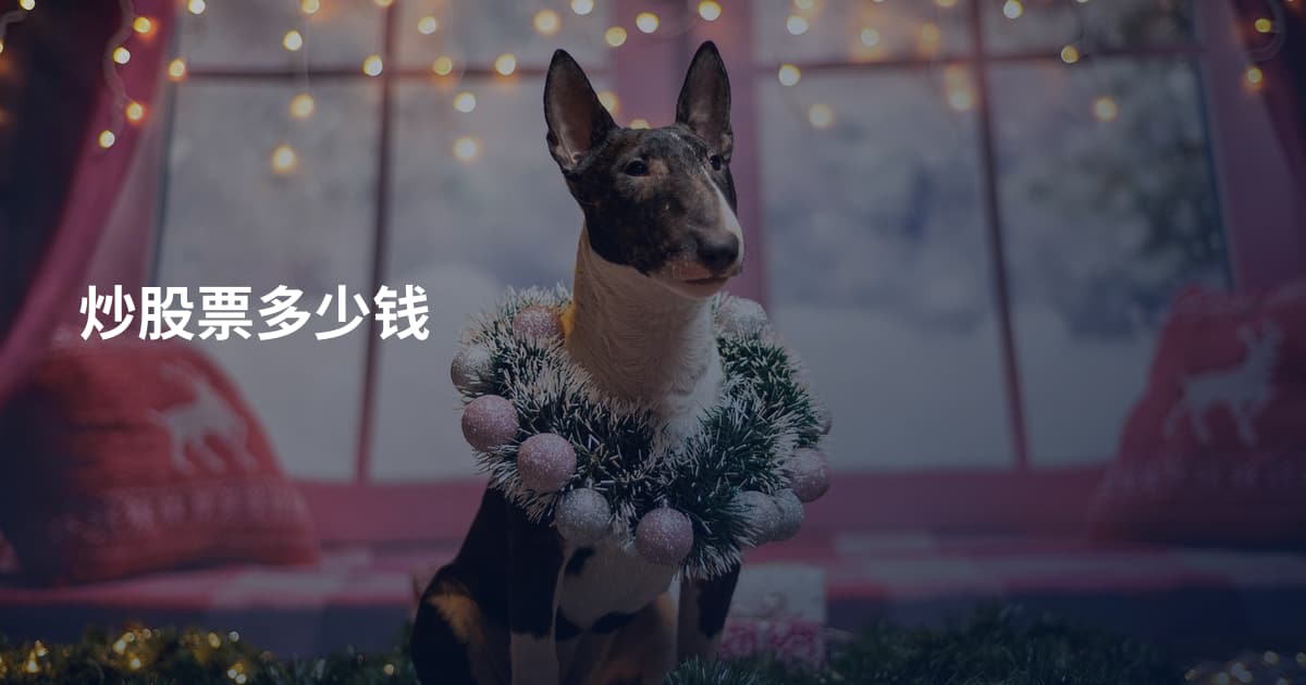 炒股票多少钱