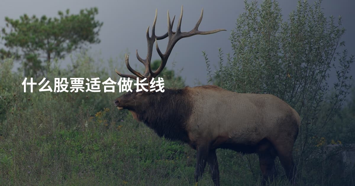 什么股票适合做长线