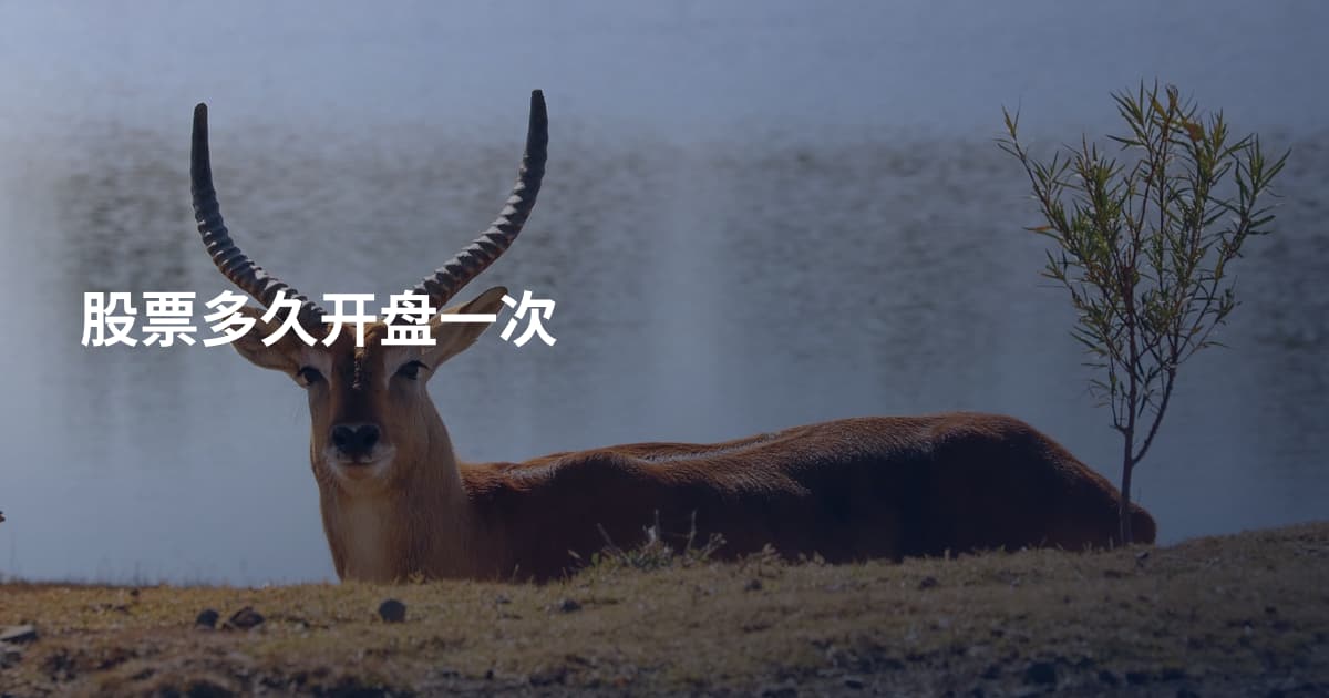 股票多久开盘一次
