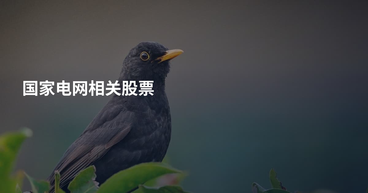 国家电网相关股票