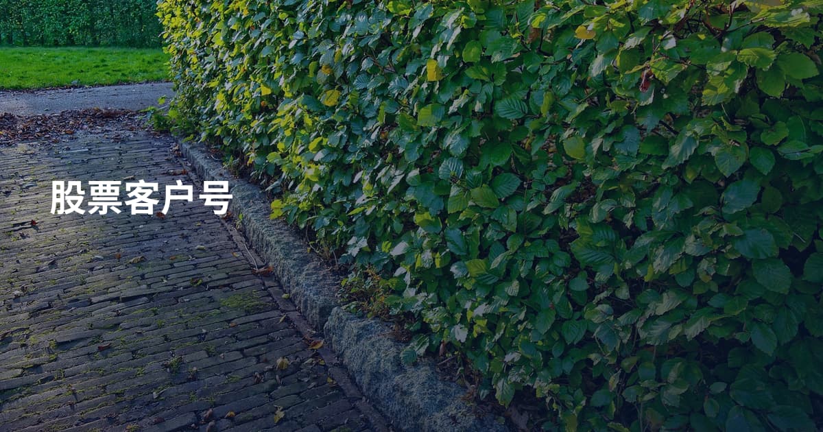 股票客户号