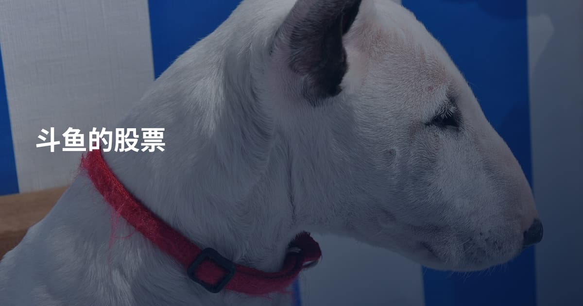 斗鱼的股票