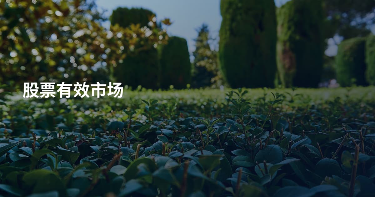 股票有效市场