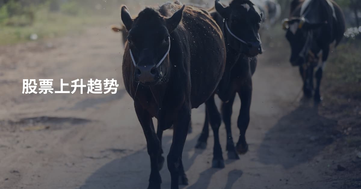 股票上升趋势