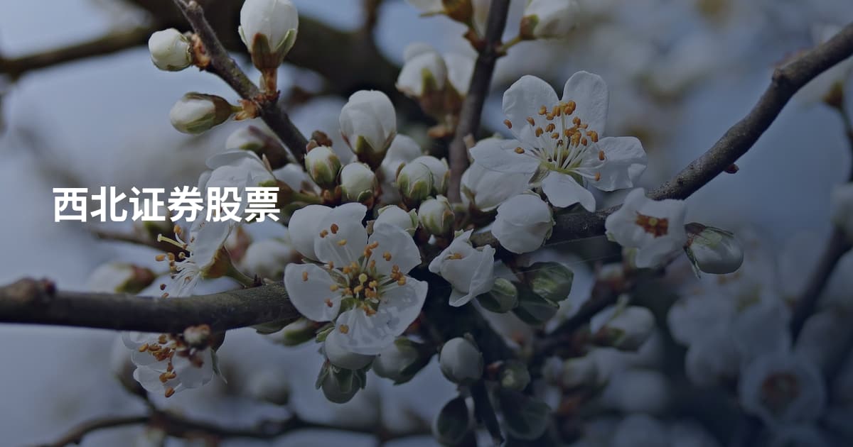 西北证券股票
