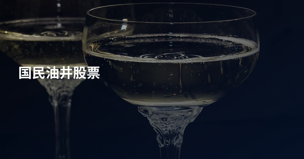 国民油井股票