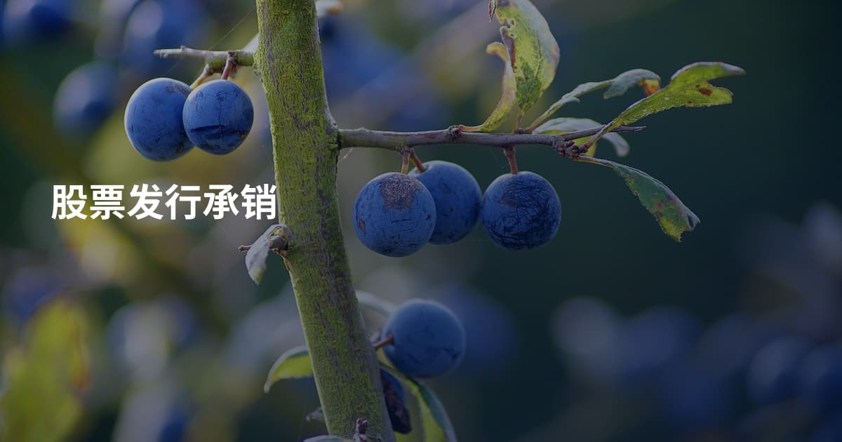 股票发行承销