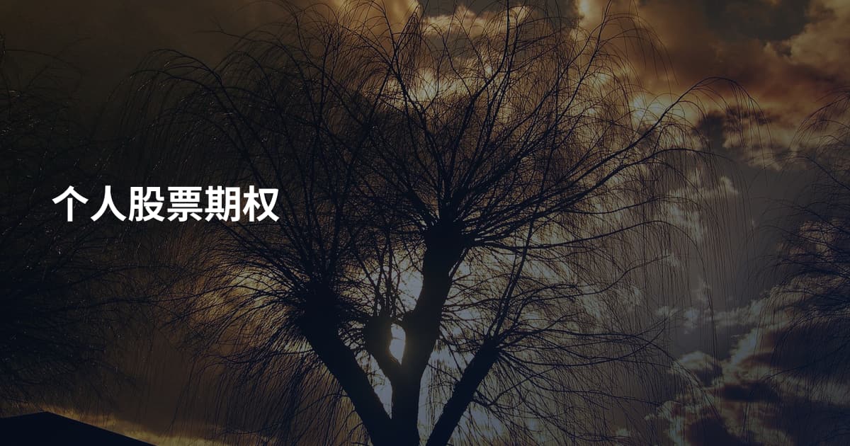 个人股票期权