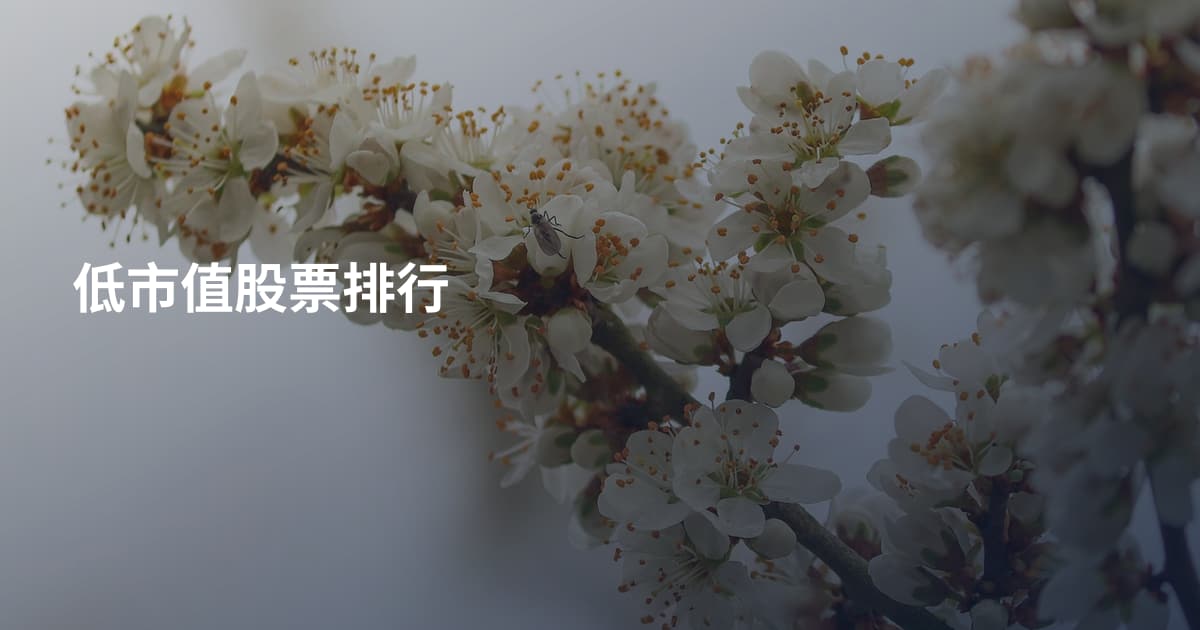 低市值股票排行