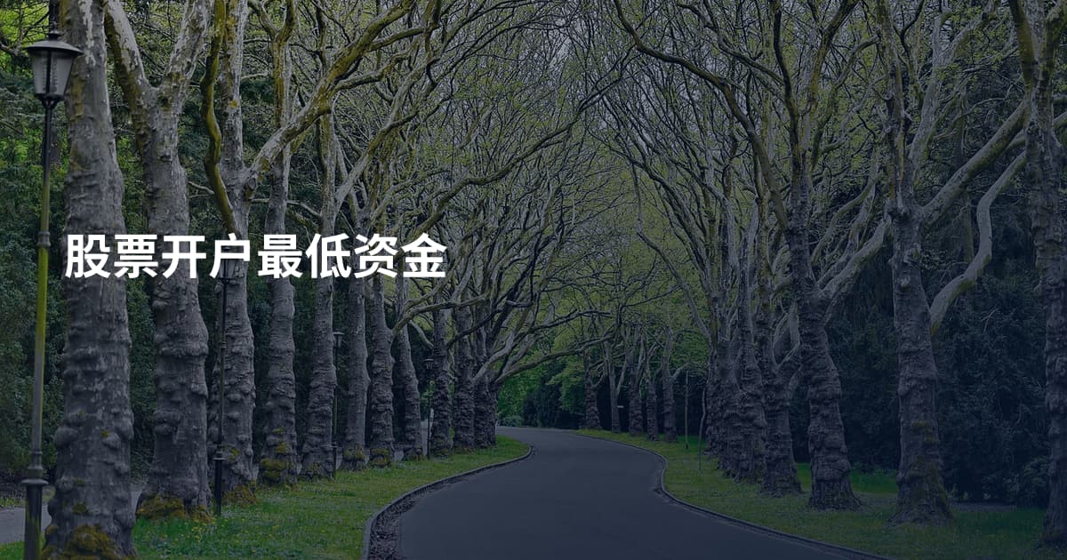 股票开户最低资金