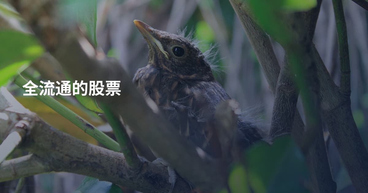 全流通的股票