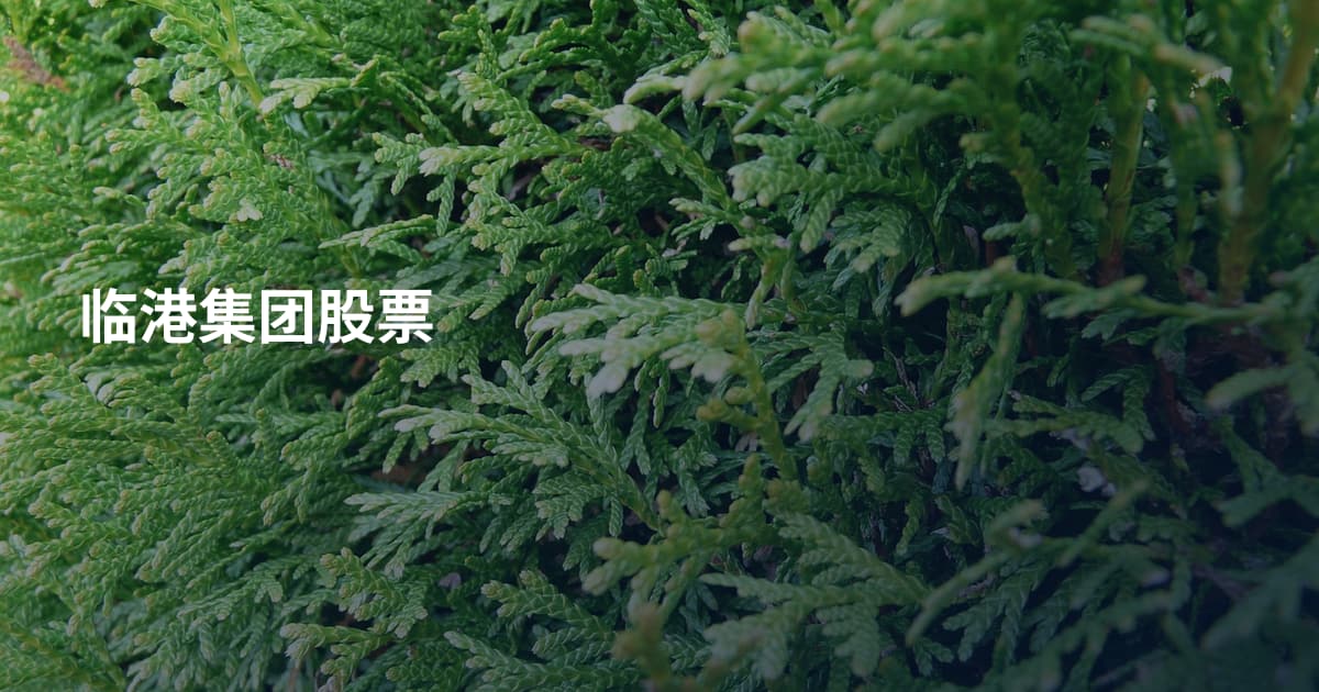 临港集团股票