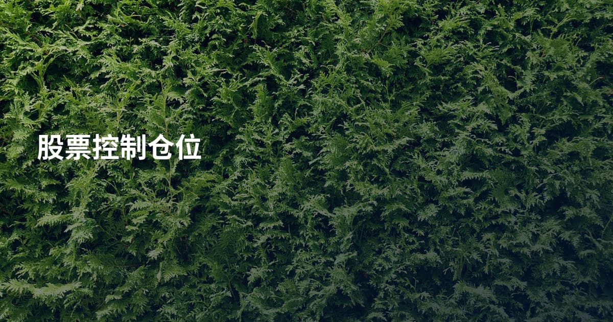 股票控制仓位