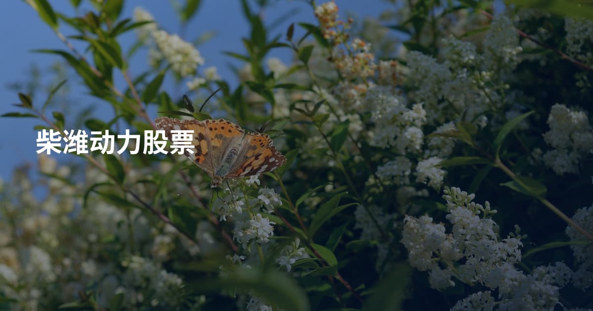 柴潍动力股票