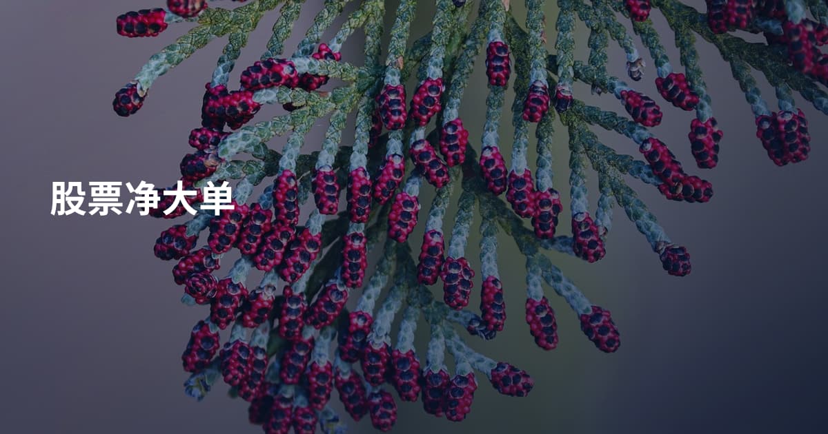 股票净大单