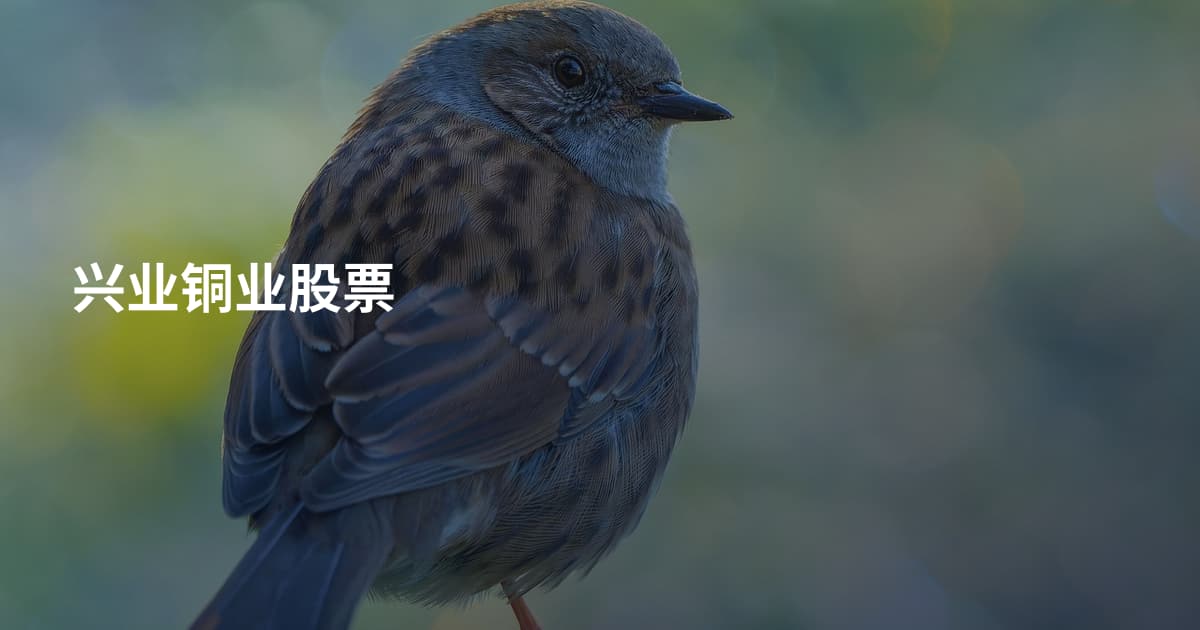 兴业铜业股票