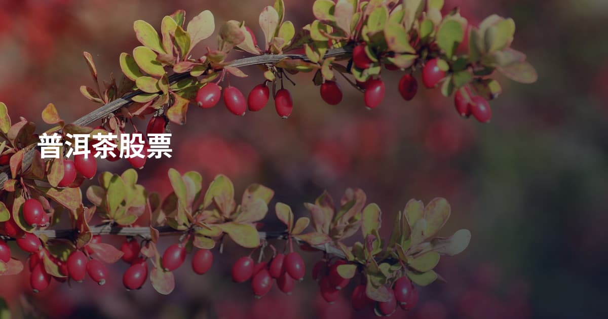 普洱茶股票