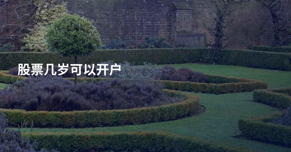 股票几岁可以开户