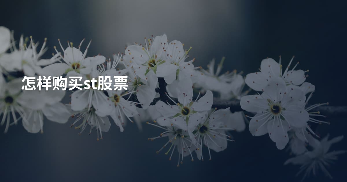 怎样购买st股票