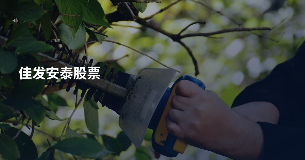 佳发安泰股票