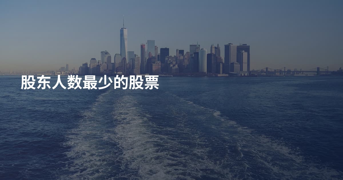 股东人数最少的股票