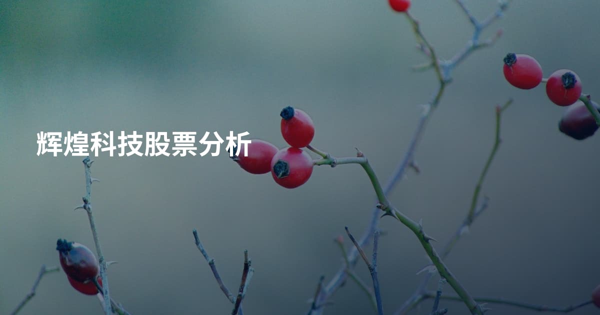 辉煌科技股票分析