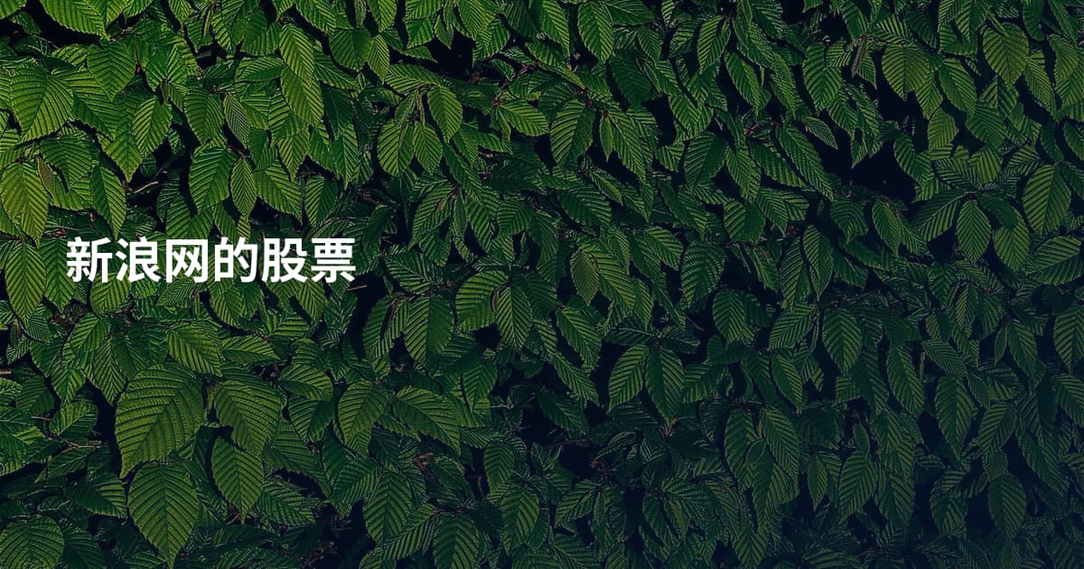 新浪网的股票