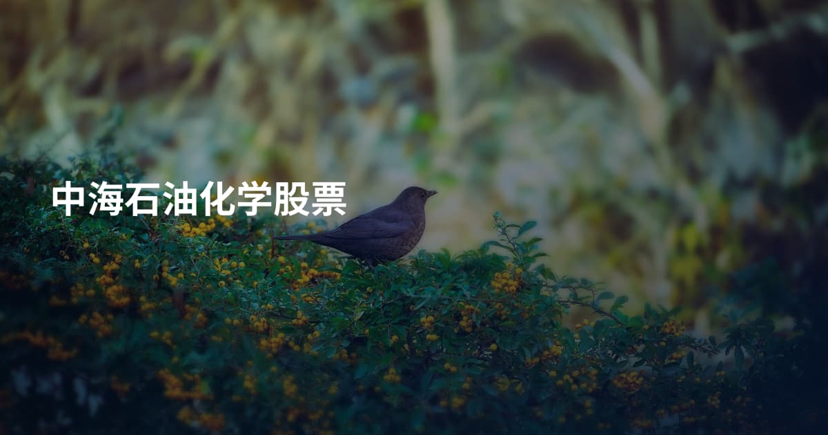 中海石油化学股票