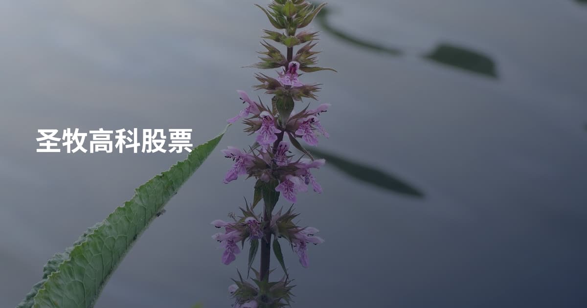 圣牧高科股票