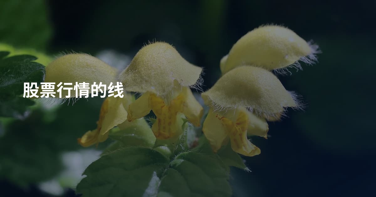 股票行情的线