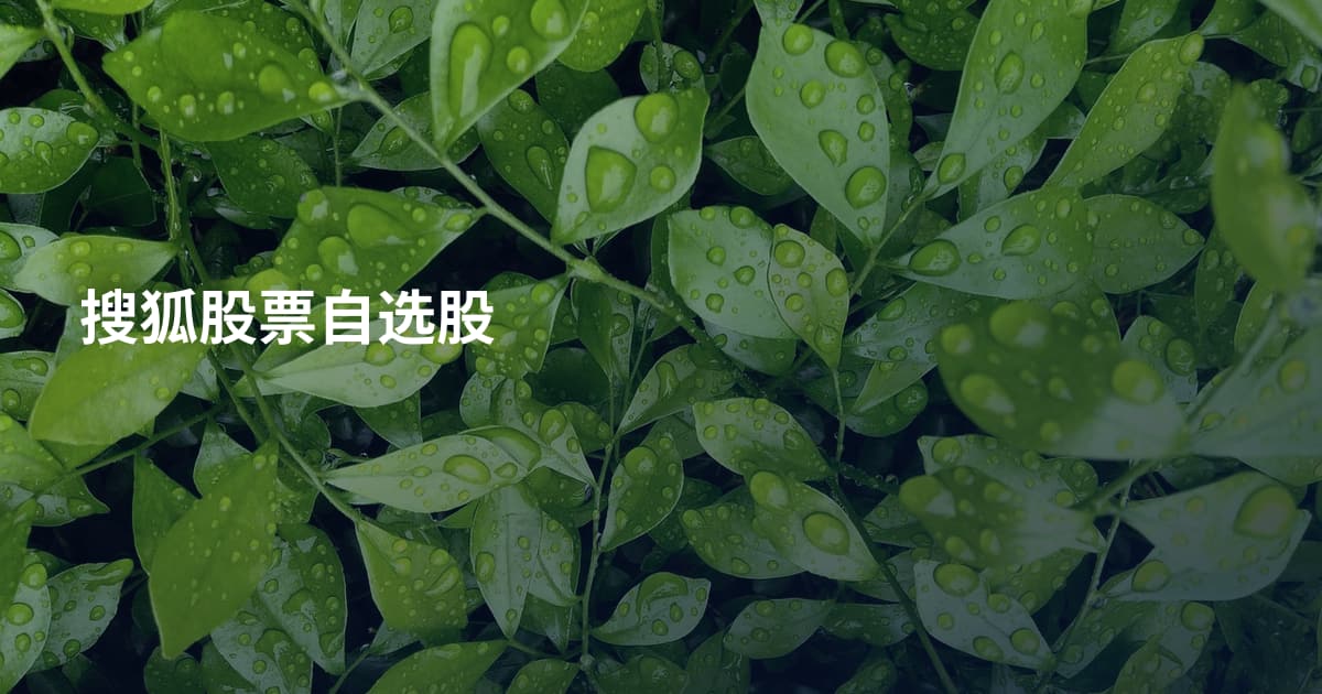 搜狐股票自选股