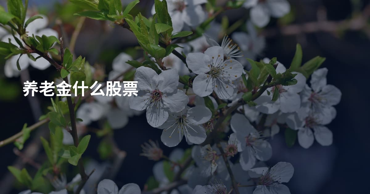 养老金什么股票