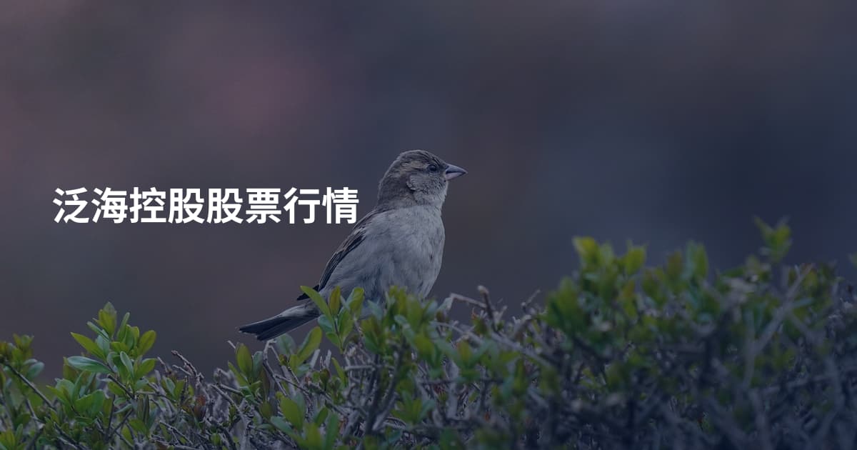 泛海控股股票行情