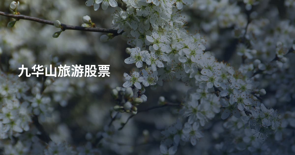 九华山旅游股票
