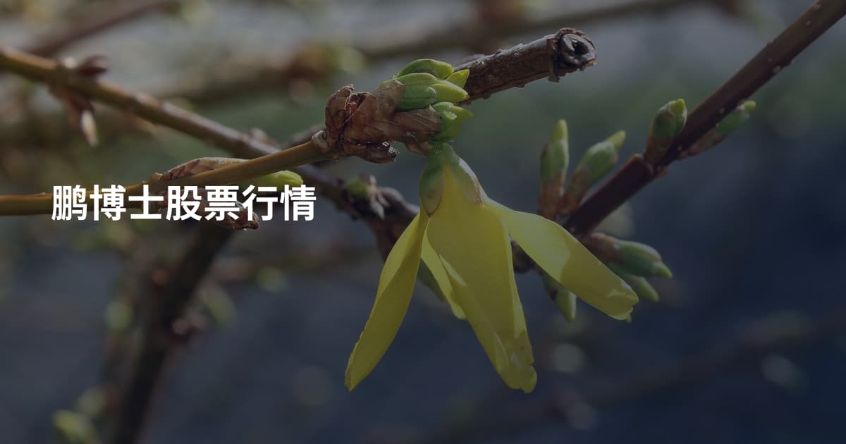 鹏博士股票行情