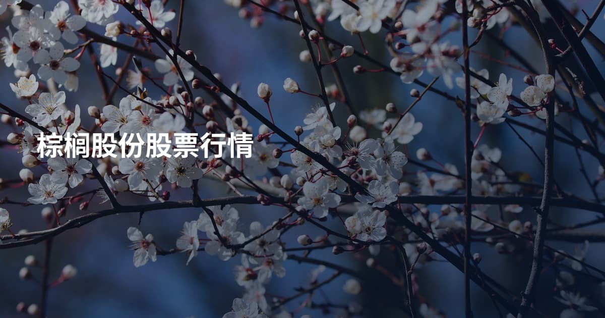 棕榈股份股票行情