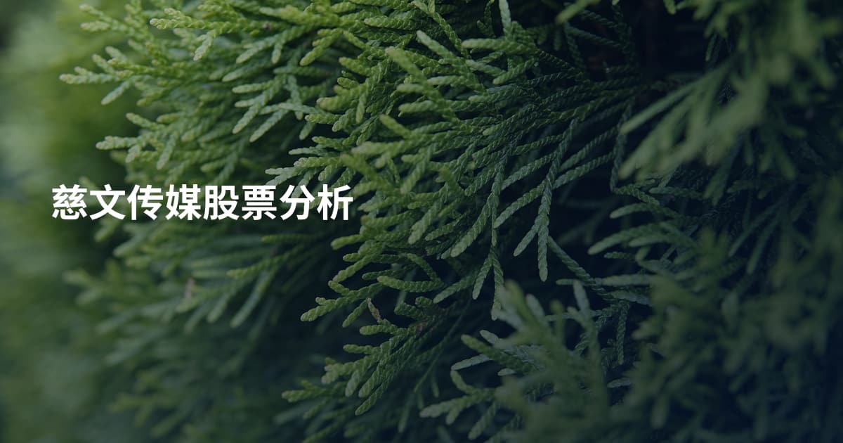 慈文传媒股票分析