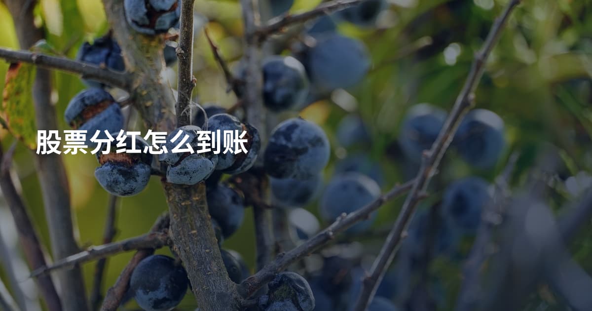 股票分红怎么到账
