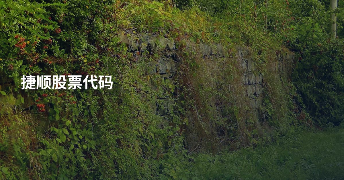 捷顺股票代码