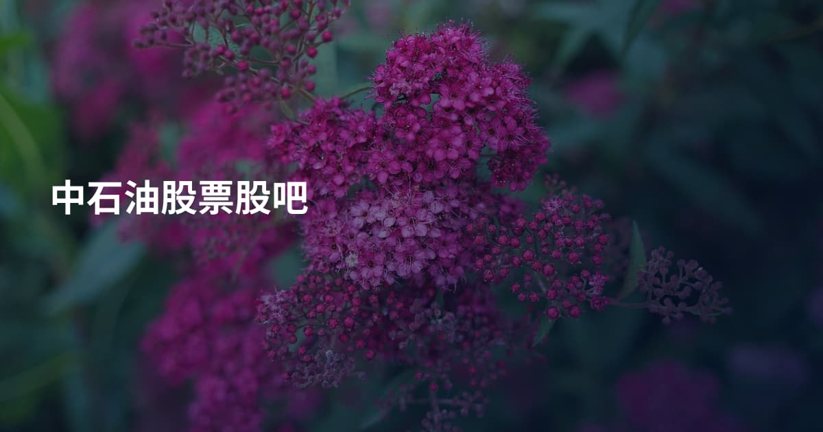 中石油股票股吧