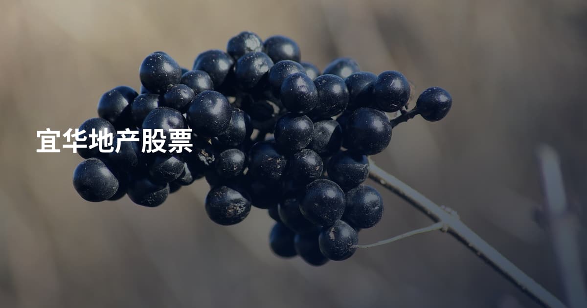 宜华地产股票