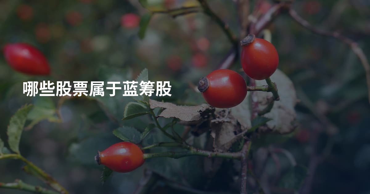 哪些股票属于蓝筹股