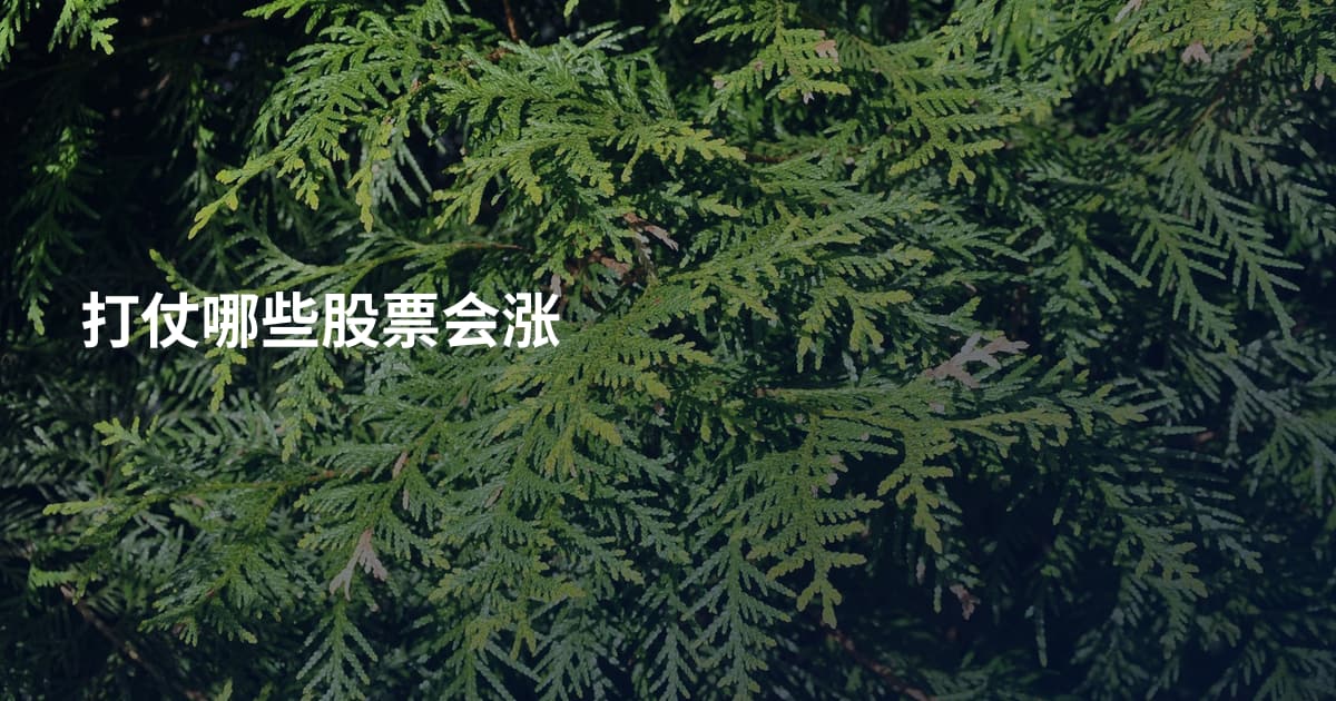 打仗哪些股票会涨