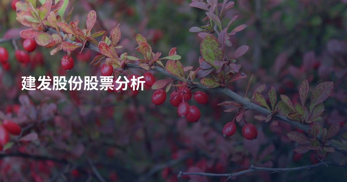 建发股份股票分析