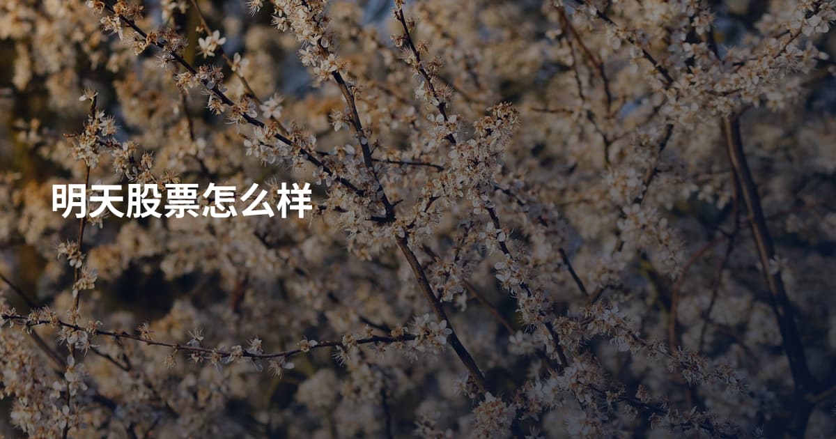明天股票怎么样