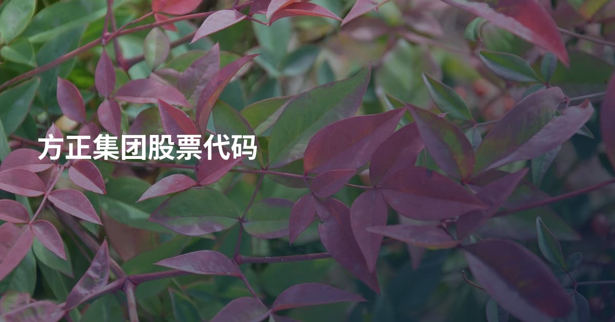方正集团股票代码